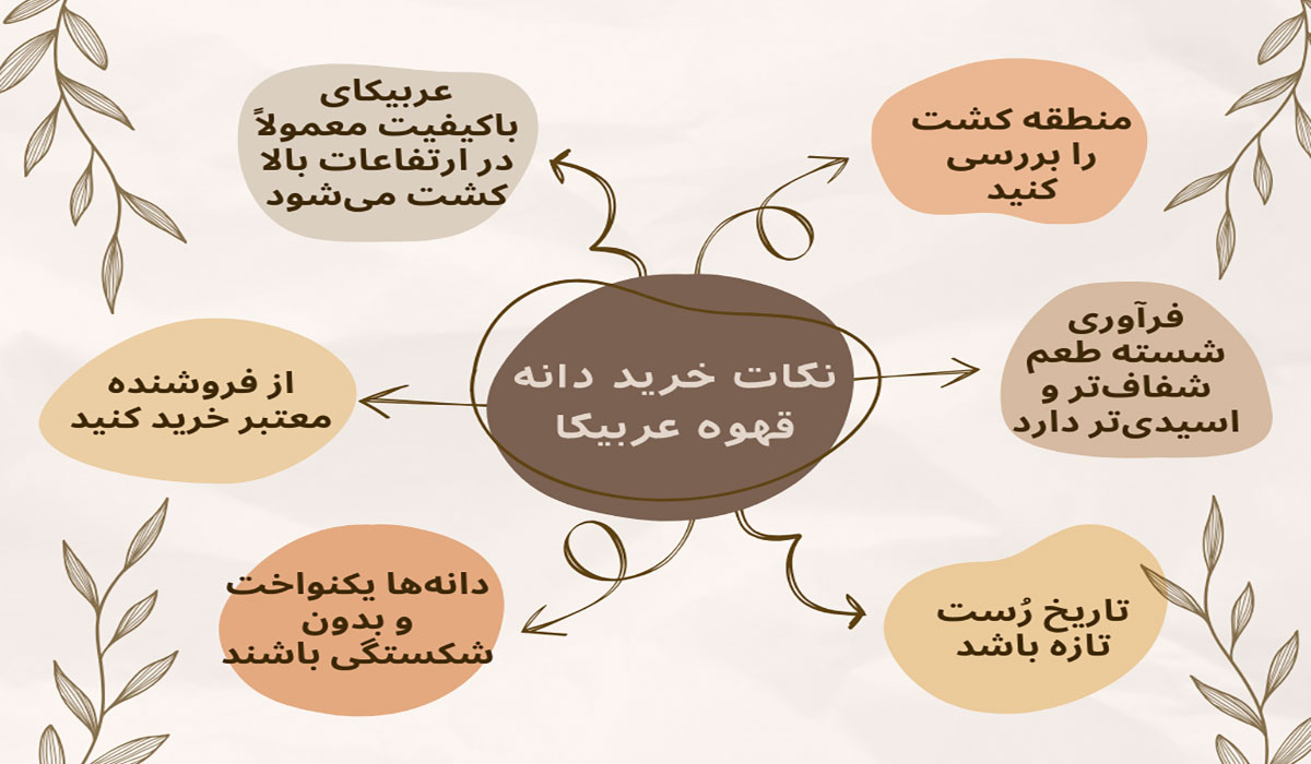 نکات خرید دانه قهوه عربیکا