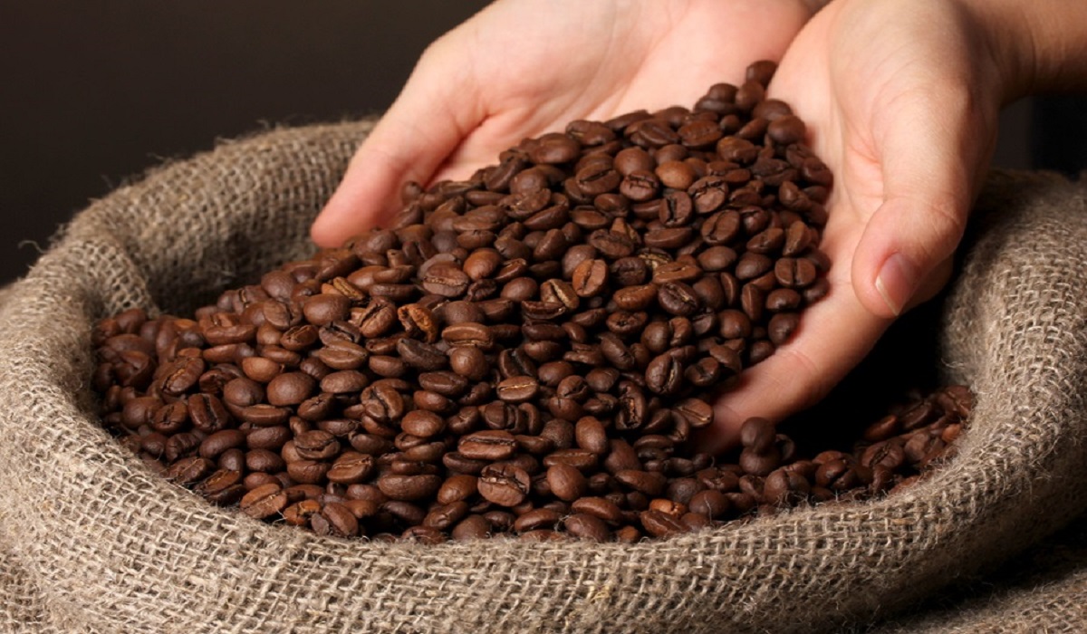قهوه عمده فلیچیتا