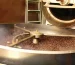 شرکت برشته کاری قهوه