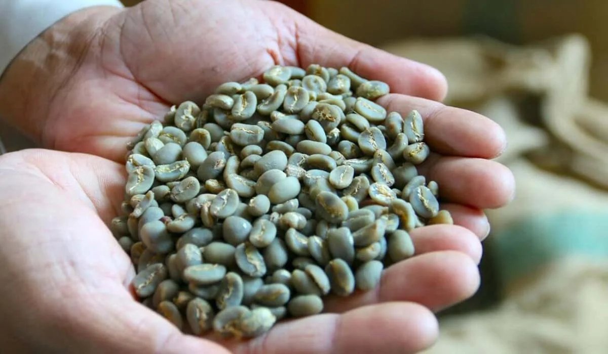 قهوه سوماترا چیست؟